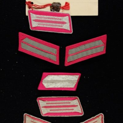 INSIGNIA 219