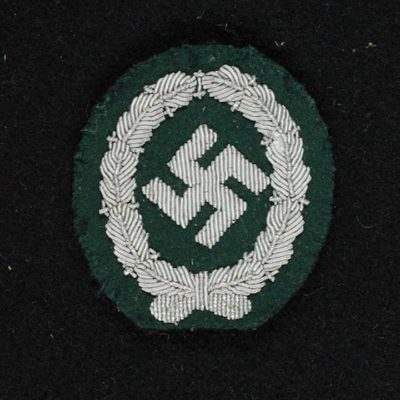 INSIGNIA 260