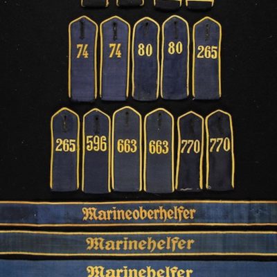 INSIGNIA
 288